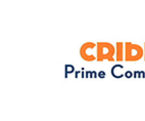 logo_dfl