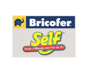 bricoself