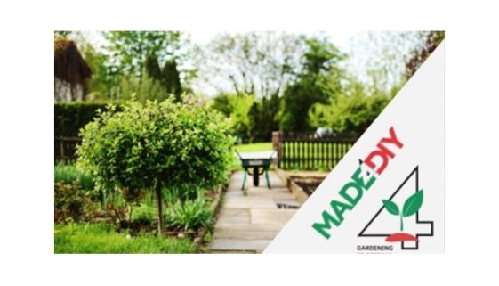 CREATOR: gd-jpeg v1.0 (using IJG JPEG v62), quality = 82