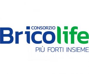 bricolife A 1 768x382 2