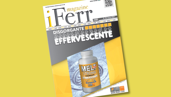 IFerr 84 copertina