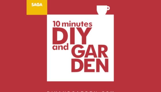 wordpress arrigoni iFerr 96