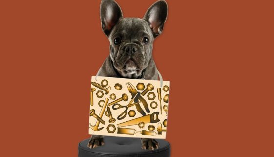 wordpresss speciale pet iferr96