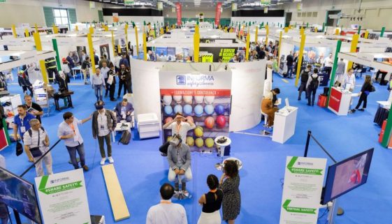 foto wordpress safety