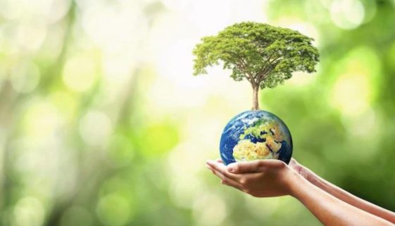 assovernici green claims