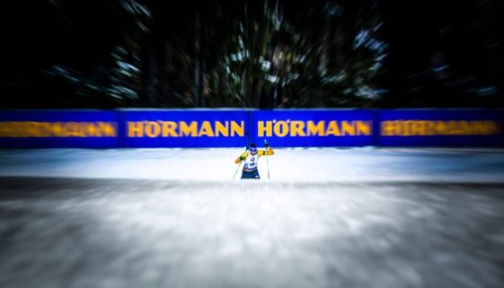 Hormann
