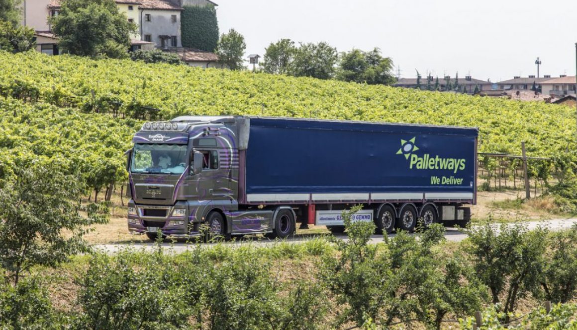 Palletways_Vigne
