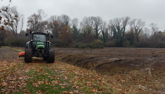 Purina e Federparchi