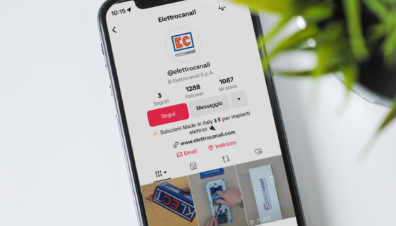 Elettrocanali sbarca su Tik Tok
