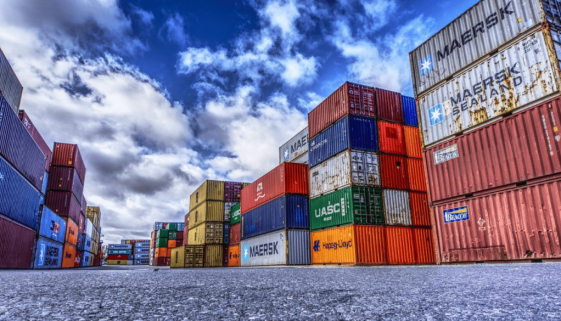 Focus Materie Prime 2025 (1)