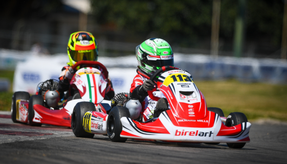 iMarketing iFerr 124