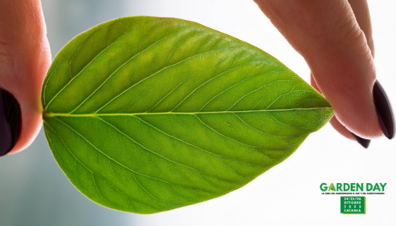 Eventi iFerr 125 - Garden Day