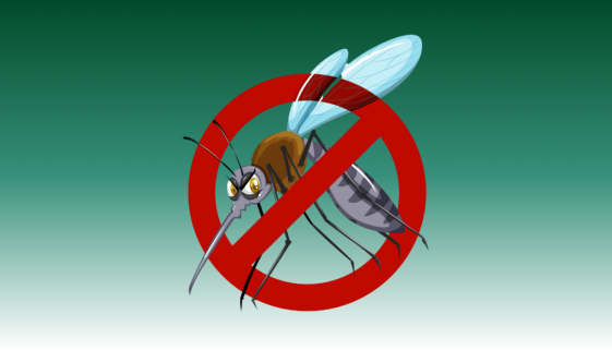 Speciale iFerr 125 - Prodotti contro le zanzare (1)