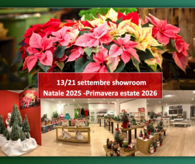 Showroom Pagano Fiori