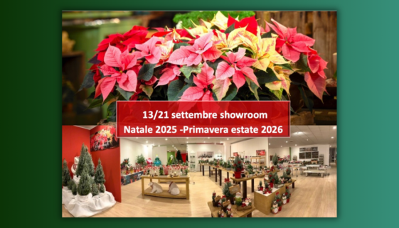 Showroom Pagano Fiori