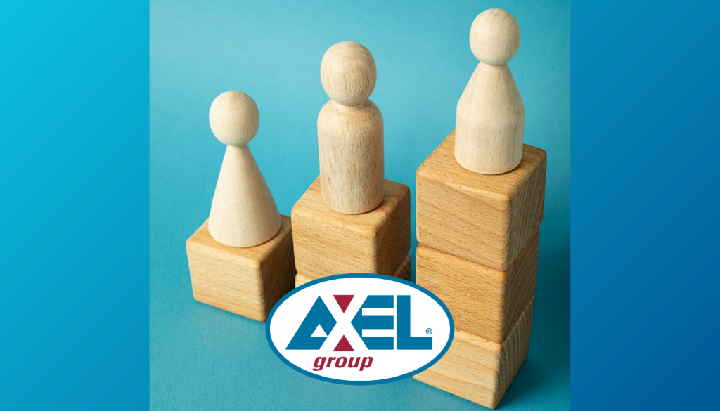 iDistribution - Axel Group (1)
