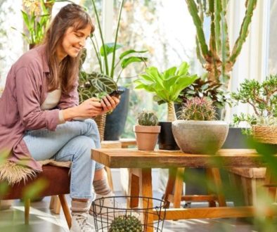 Tornano VendiVerdeAcademy e VendiCompoAcademy