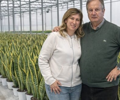 Pagano Fiori amplia la produzione con nuove serre tecnologiche