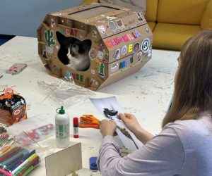 Purina Frida's Friends