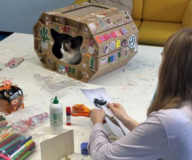 Purina Frida's Friends