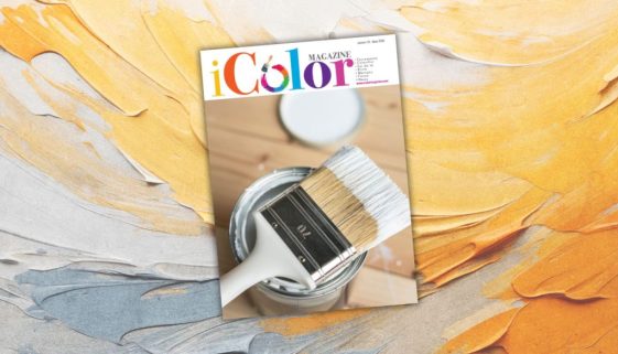 IColor 19 iFerr