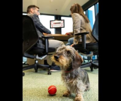 Purina (1)